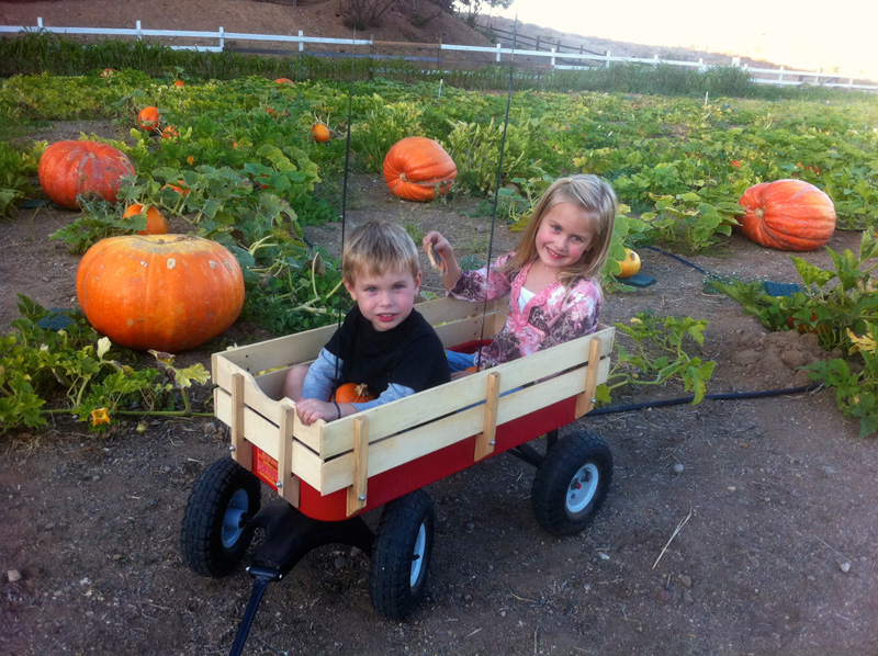 central coast pumpkin patch