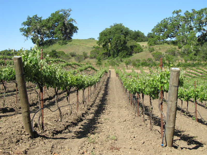 Rocky Creek Cellars