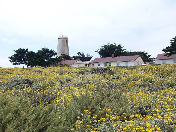 Piedras Blancas Light Station