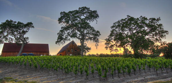 Hope Family Wines: A commitment to quality - Paso Robles Daily News