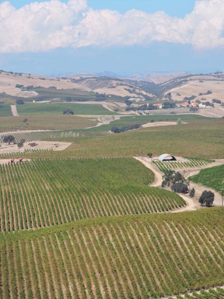 The door-less helicopter provides for stunning vistas and ample opportunities for photography enthusiasts.