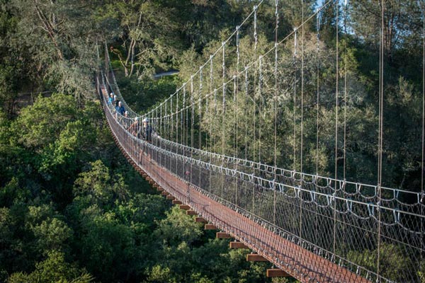 Suspension Bridge Santa Margarita.